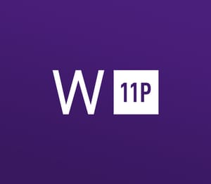 Windows 11 Professional OEM Digital Key