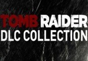 Tomb Raider series