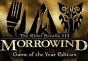 The Elder Scrolls III: Morrowind