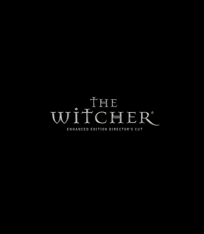 The Witcher 1