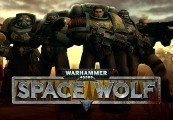 Warhammer 40,000: Space Wolf