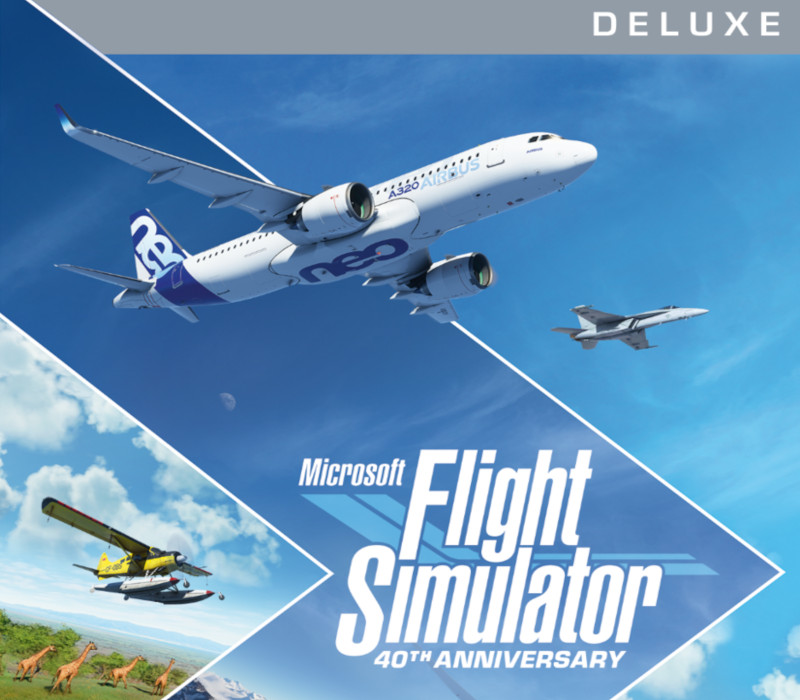 Microsoft Flight Simulator