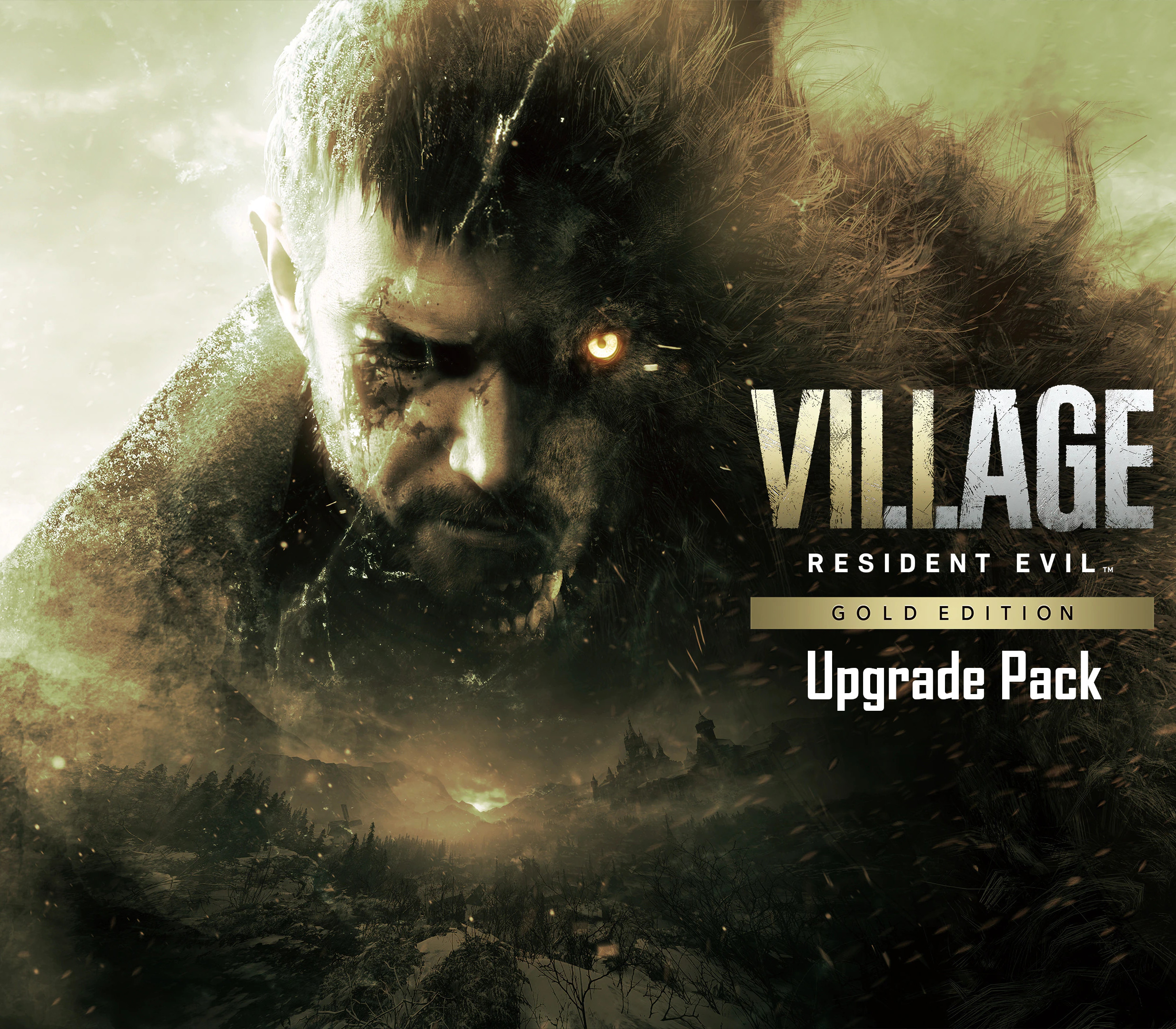 Bundle Packs
