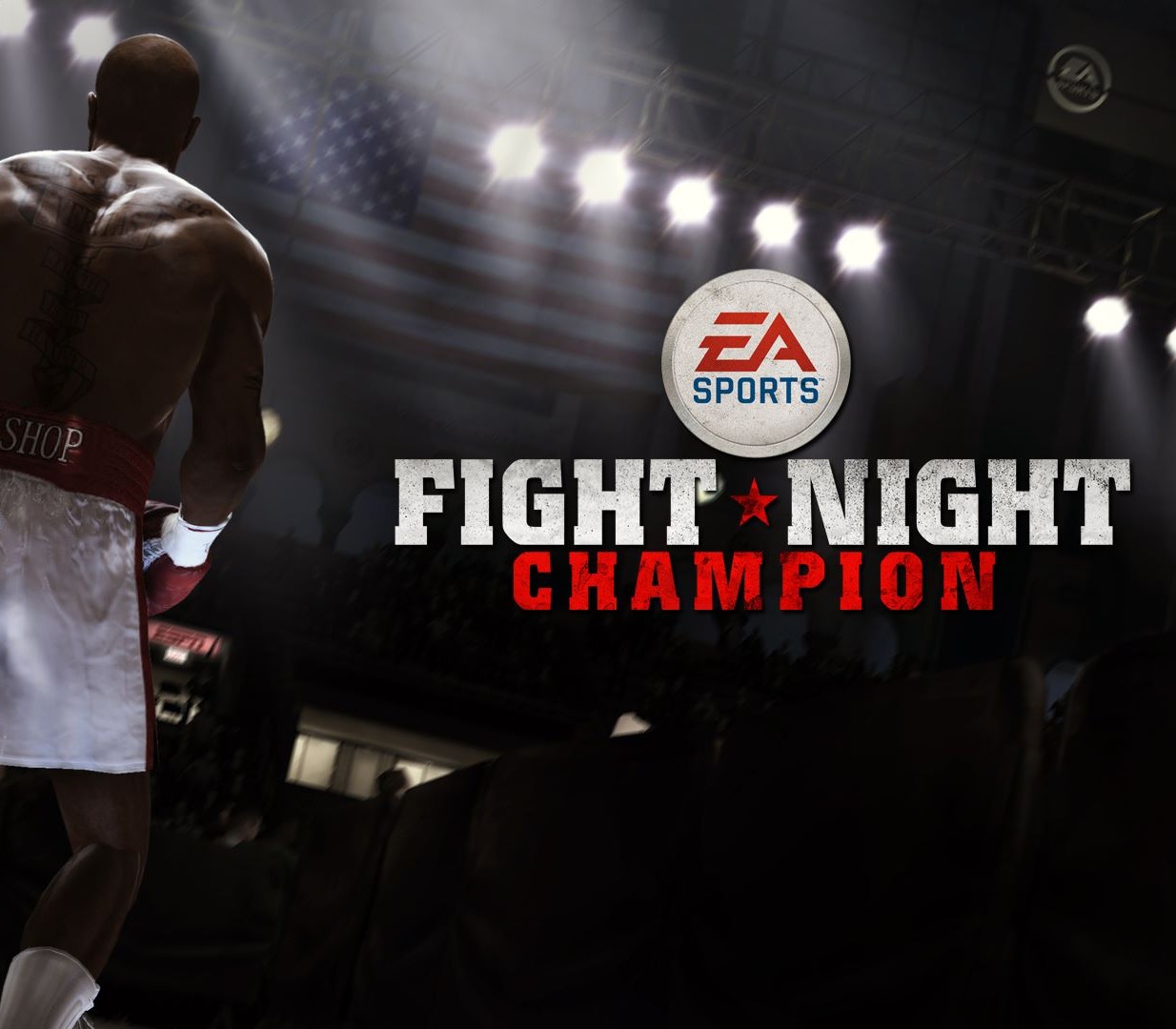 Fight Night