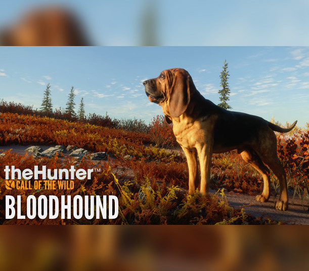 theHunter: Call of the Wild - Bloodhound